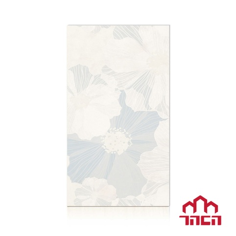 Gạch Ốp Tường 40x80 Ceramic 19004