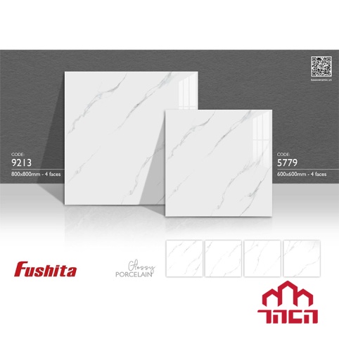 Gạch lát nền Fushita 60x60 5779