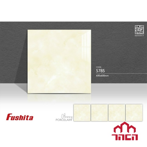 Gạch lát nền Fushita 60x60 5785