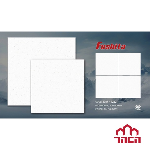 Gạch lát nền Fushita 60x60 5787