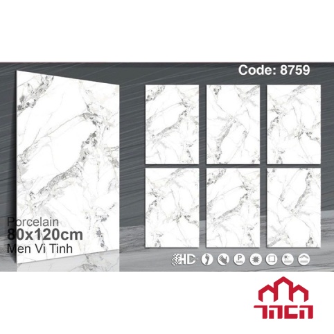 Gạch ốp tường 80x120 tasa 8759