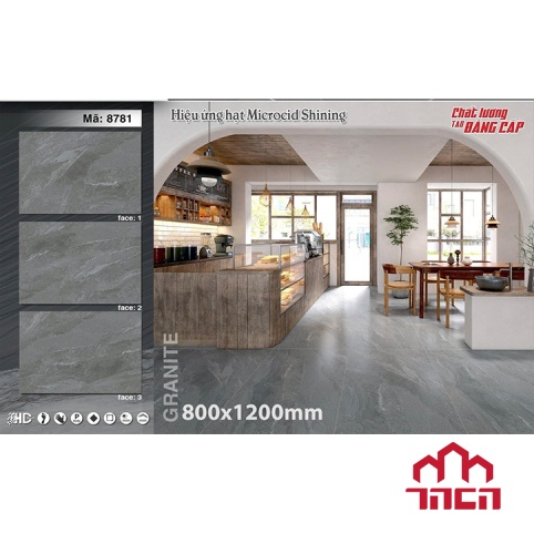 Gạch ốp tường 80x120 tasa 8781