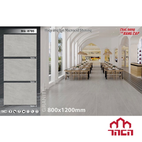 Gạch ốp tường 80x120 tasa 8785