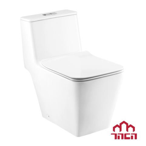 Bàn Cầu 1 Khối Nắp Đóng Êm Simply Modish C10327