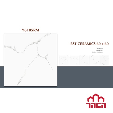 Gạch lát nền Ý Mỹ 60X60 Y6105RM